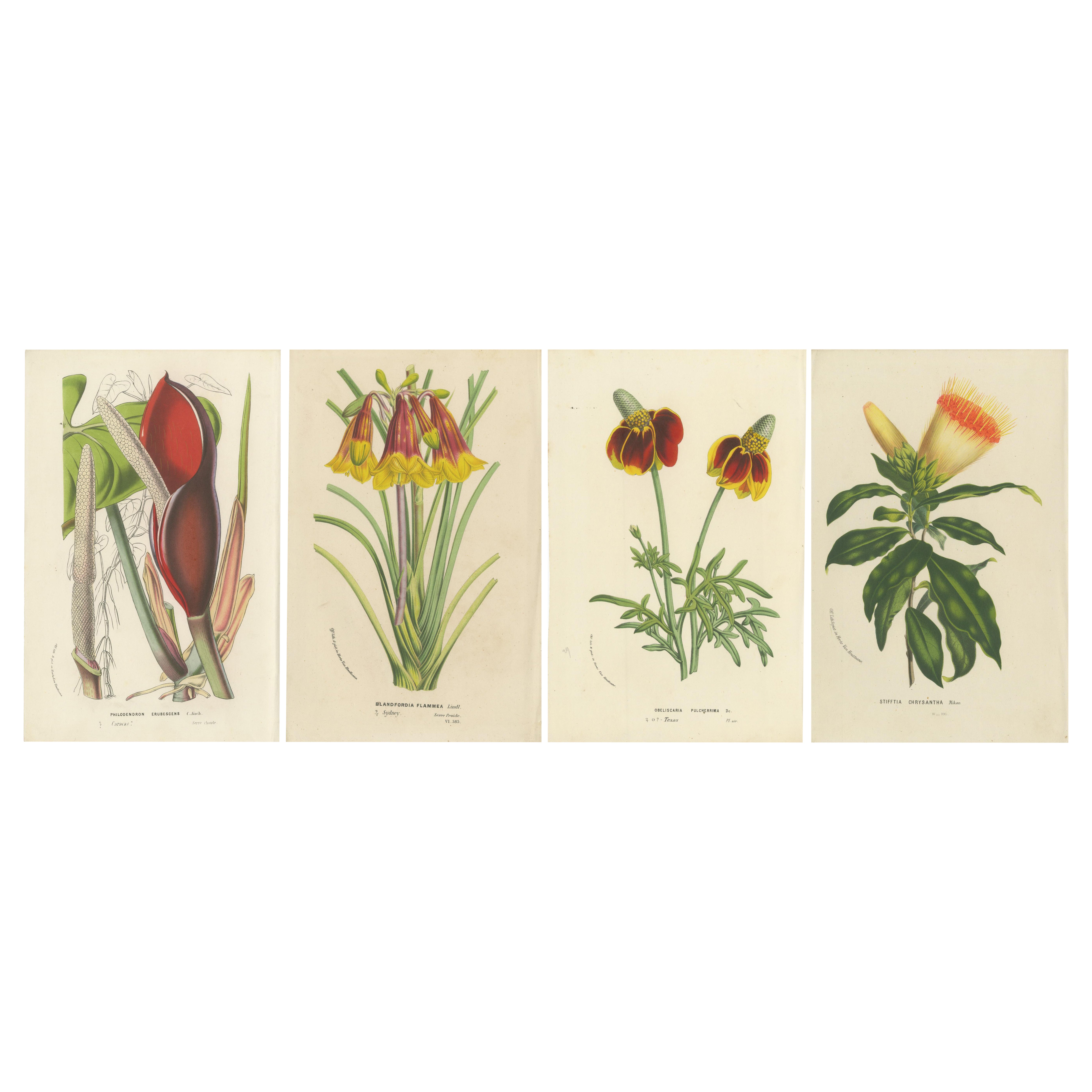 Flora Illustrated: A Collection of 19th Century Botanical Art, publié vers 1875