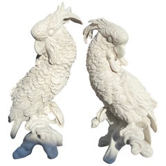 Pair of Meissen Porcelain Parrots - 20th Century