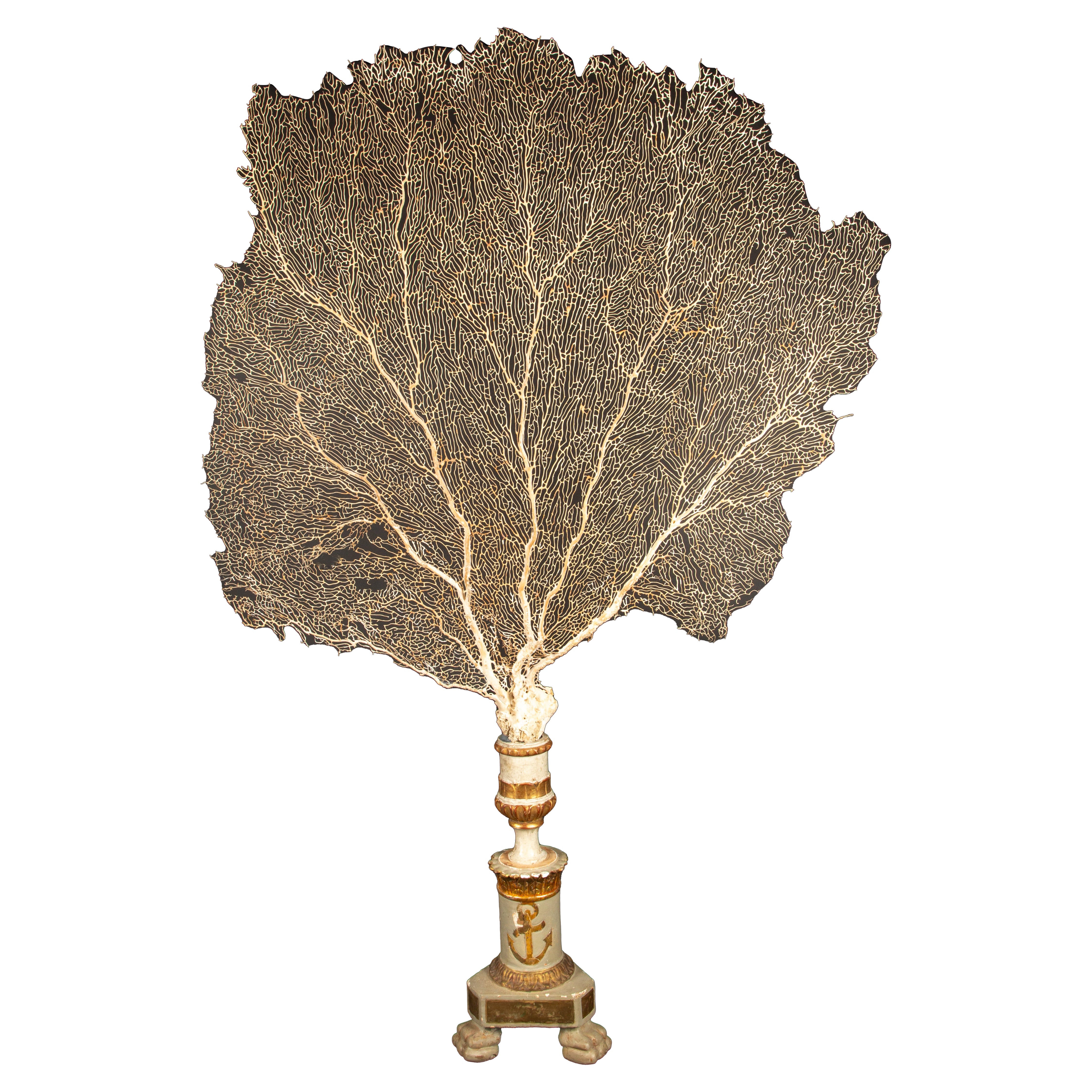 Imposing 19th-Century Gilt Sailor's Pricket with Mounted Natural Sea Fan- 62"H For Sale