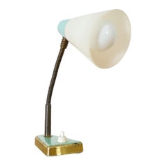 Hala Style Petite Turquoise Gooseneck Table or Wall Lamp
