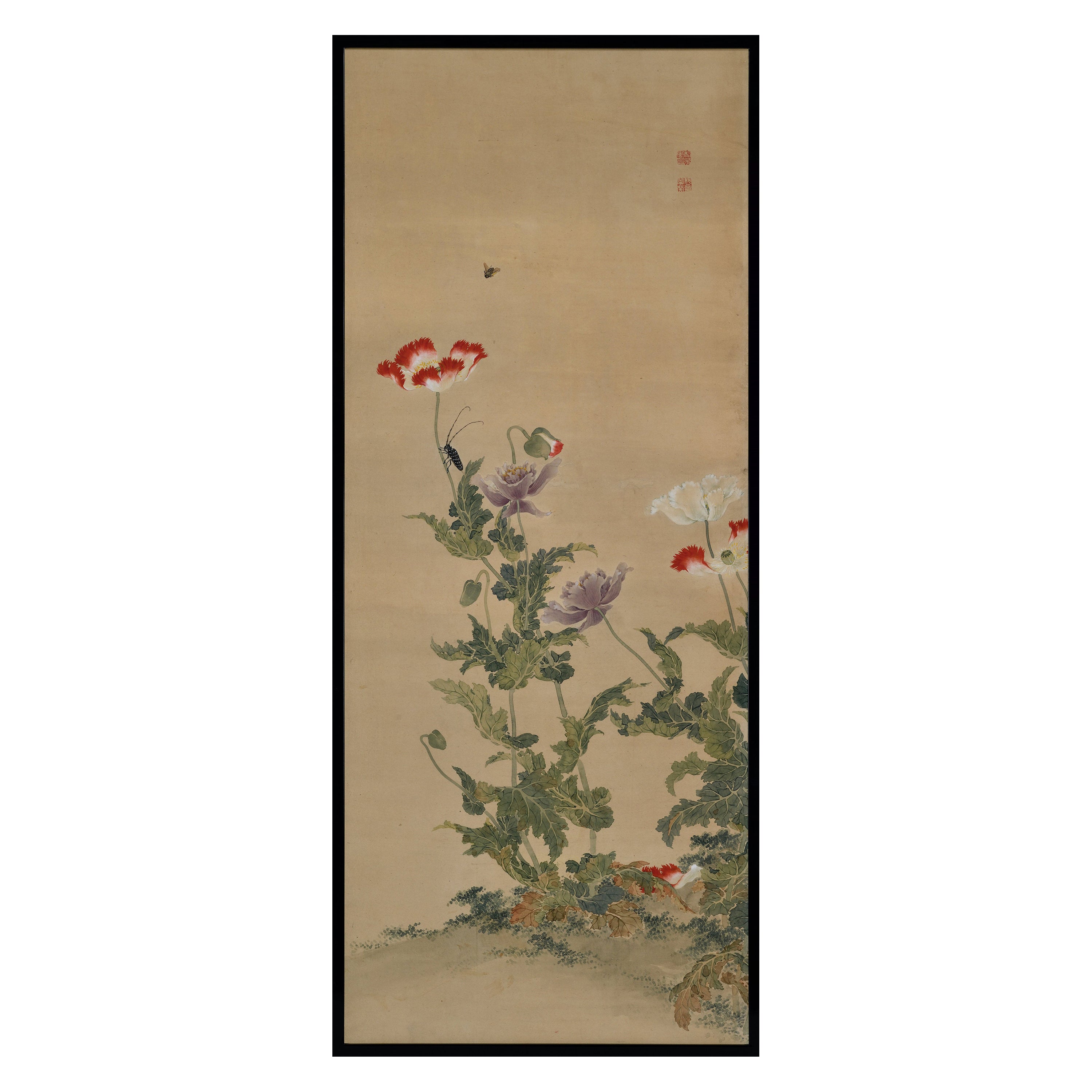 Mid 19th Century Framed Japanese Painting. Longhorn Beetle & Poppies.