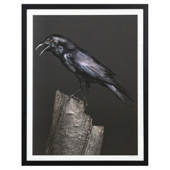 Photographie signée Peter Samuels Poe, the Half Blind Raven 3/100 encadrée 2015