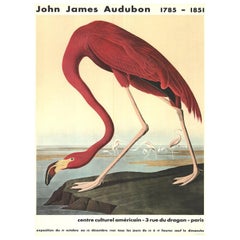 1960 John James Audubon - American Flamingo Original Vintage Poster