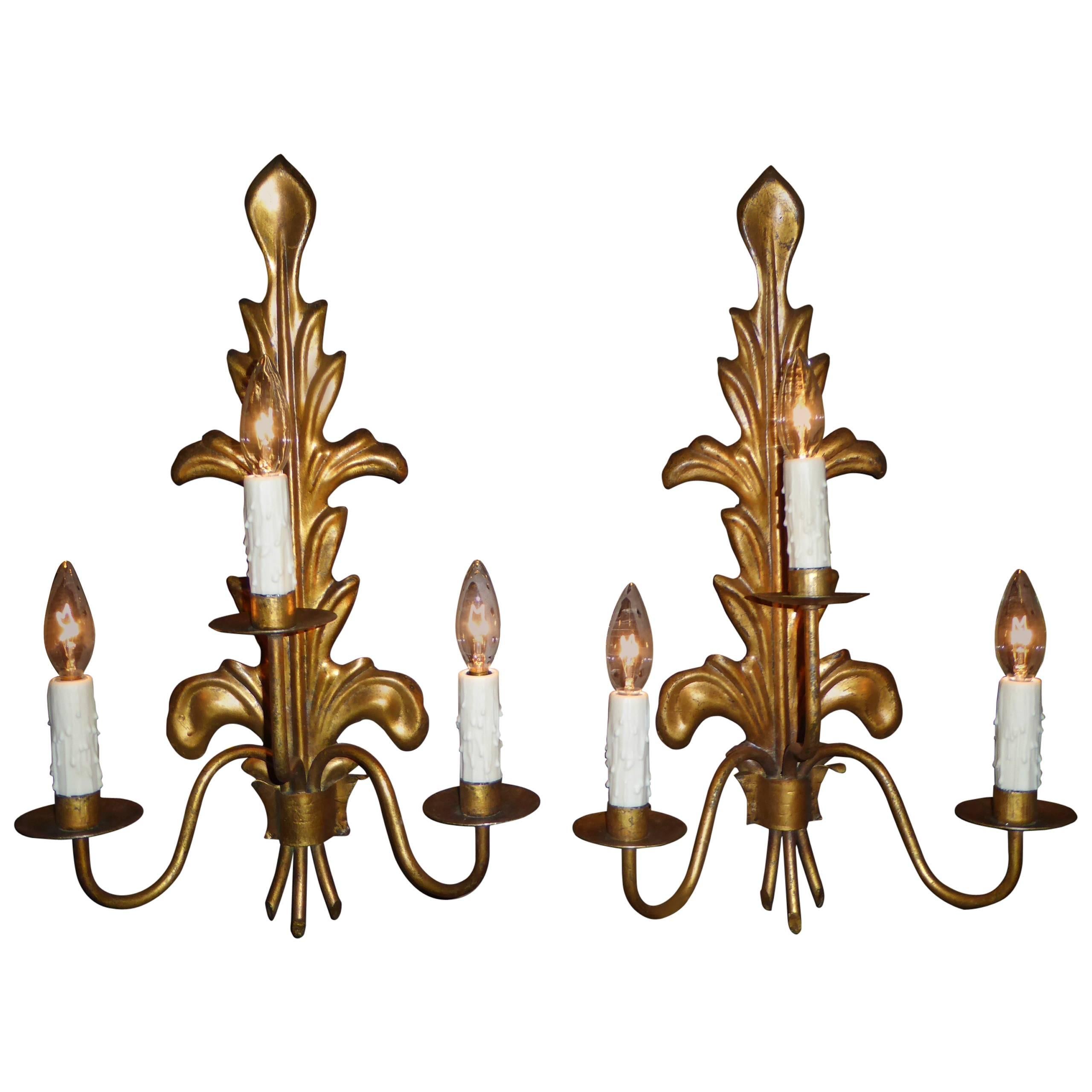 Modern Pair of Acanthus Leaf Gilt Metal Three-Candle Sconces 1950s For Sale