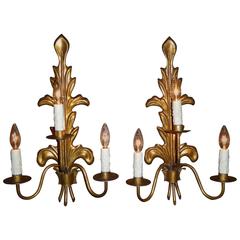 Pair of Acanthus Leaf Gilt Metal Three-Candle Sconces 5