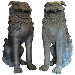 Fine Chinese Bronze Life Size Foo Dogs with Patina