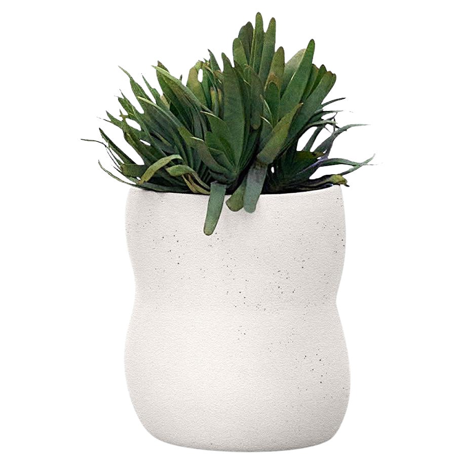 Pebble XS White Planter by Indigenus