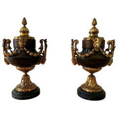 Paire de vases de style Louis XVI en bronze patiné et doré