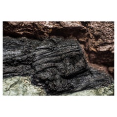 "Stone Lion", édition limitée, photographie abstraite de Marko Milić