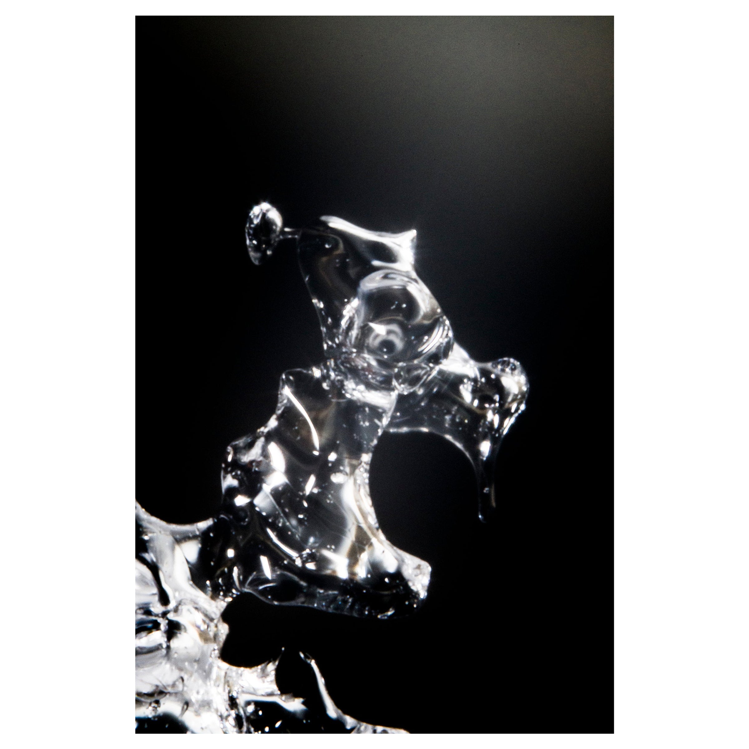 "Rex", edizione limitata, fotografia astratta di Marko Milić