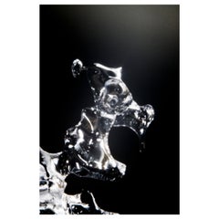 "Rex", edizione limitata, fotografia astratta di Marko Milić