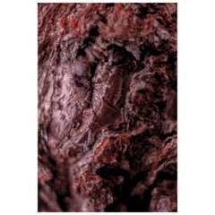"Cocoon", édition limitée, photographie abstraite de Marko Milić