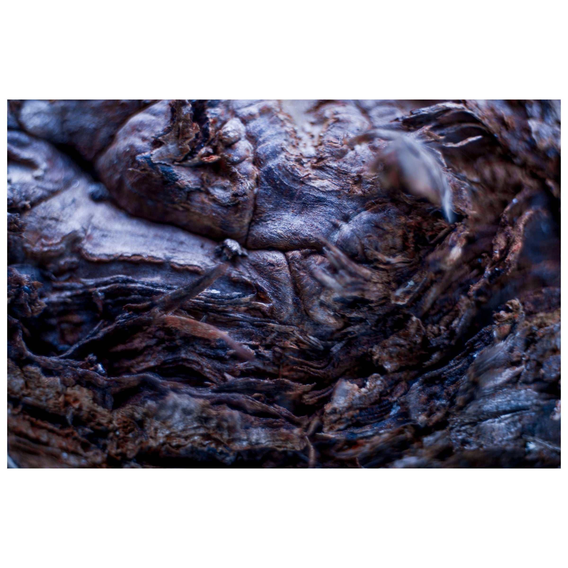 "Hydra", edizione limitata, fotografia astratta di Marko Milić