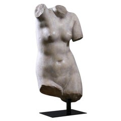 Buste De Venus