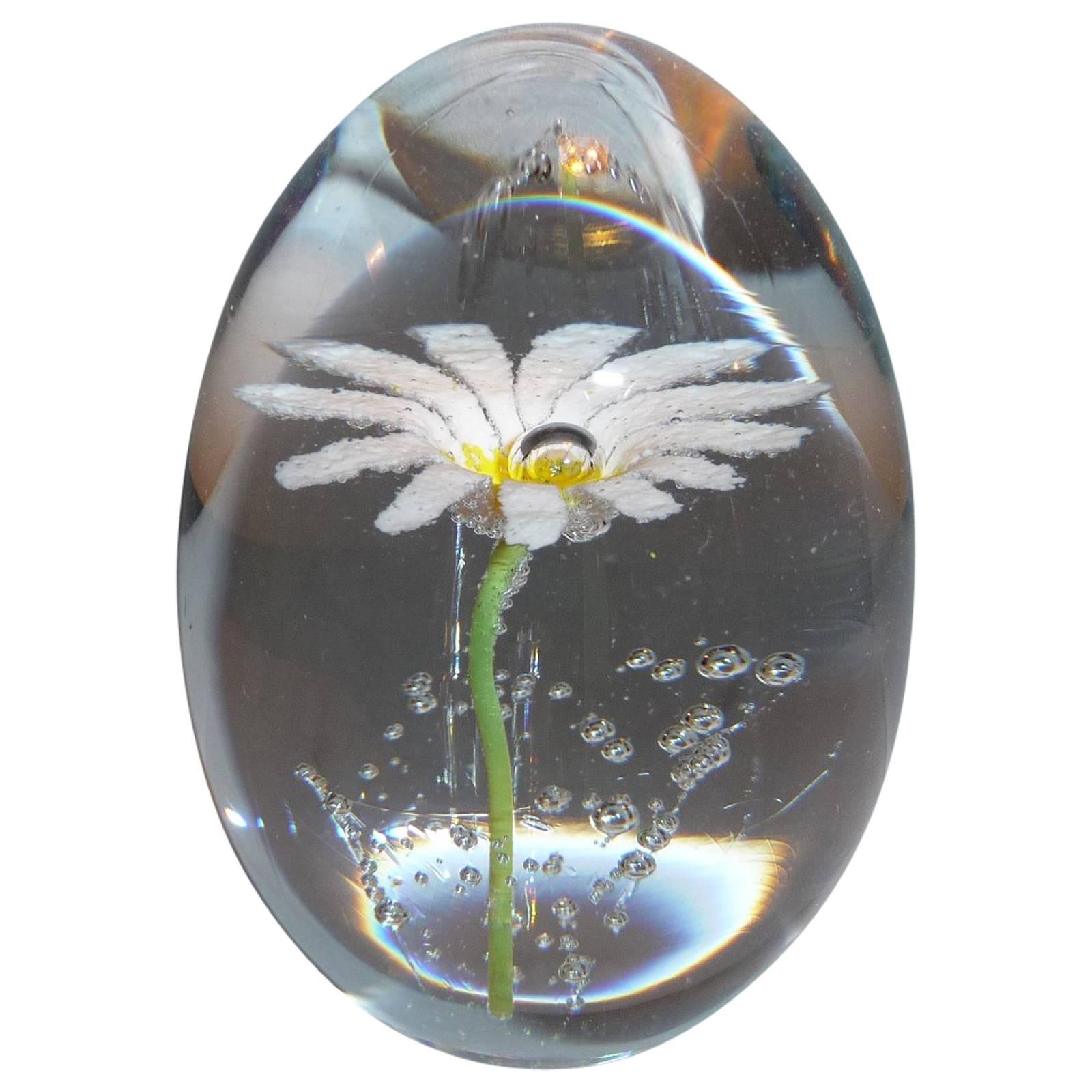 Paperweight Egg Daum Daisy Flower For Sale