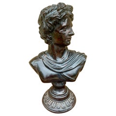 Vintage Classic Male Bust Sculpture of Apollo Belvedere