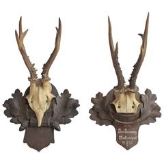 Two Hand-Carved Wood Black Forest Roe Deer Mounts, Early 20th Century