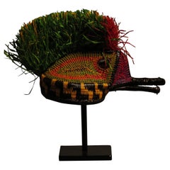 Colibri from the jungle