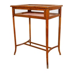 Antique Mahogany Side Table/Showcase/Display Cabinet From the 19th Century