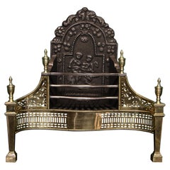 19th Century Decorative Serpentine Brass & Steel Dog Grate