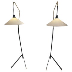 Pair of floor lamps by Arlus