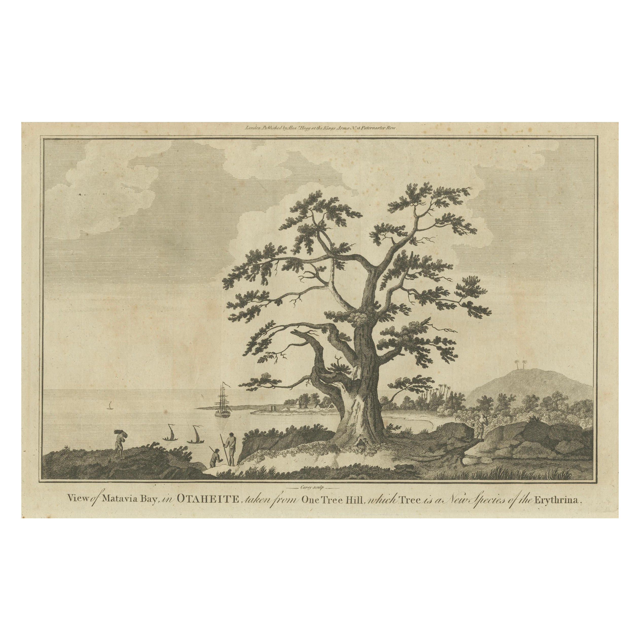 Vista de la bahía de Matavai desde One Tree Hill en Tahití, hacia 1785