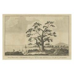 Vista de la bahía de Matavai desde One Tree Hill en Tahití, hacia 1785