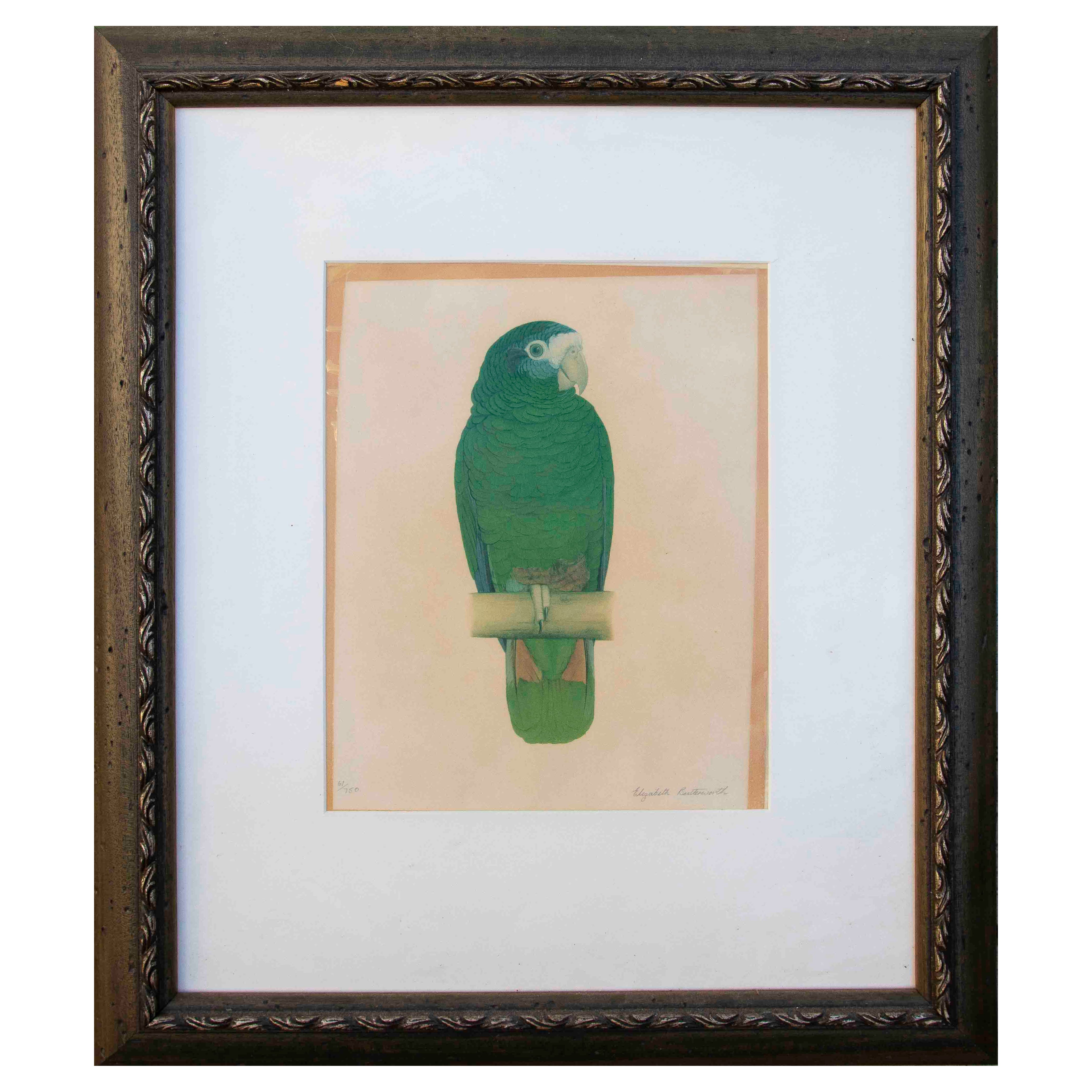 1970s Framed Green Parrot Engraving Technique Canvas Painting, Signed.