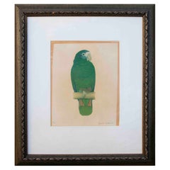 1970s Framed Green Parrot Engraving Technique Canvas Painting, Signed.