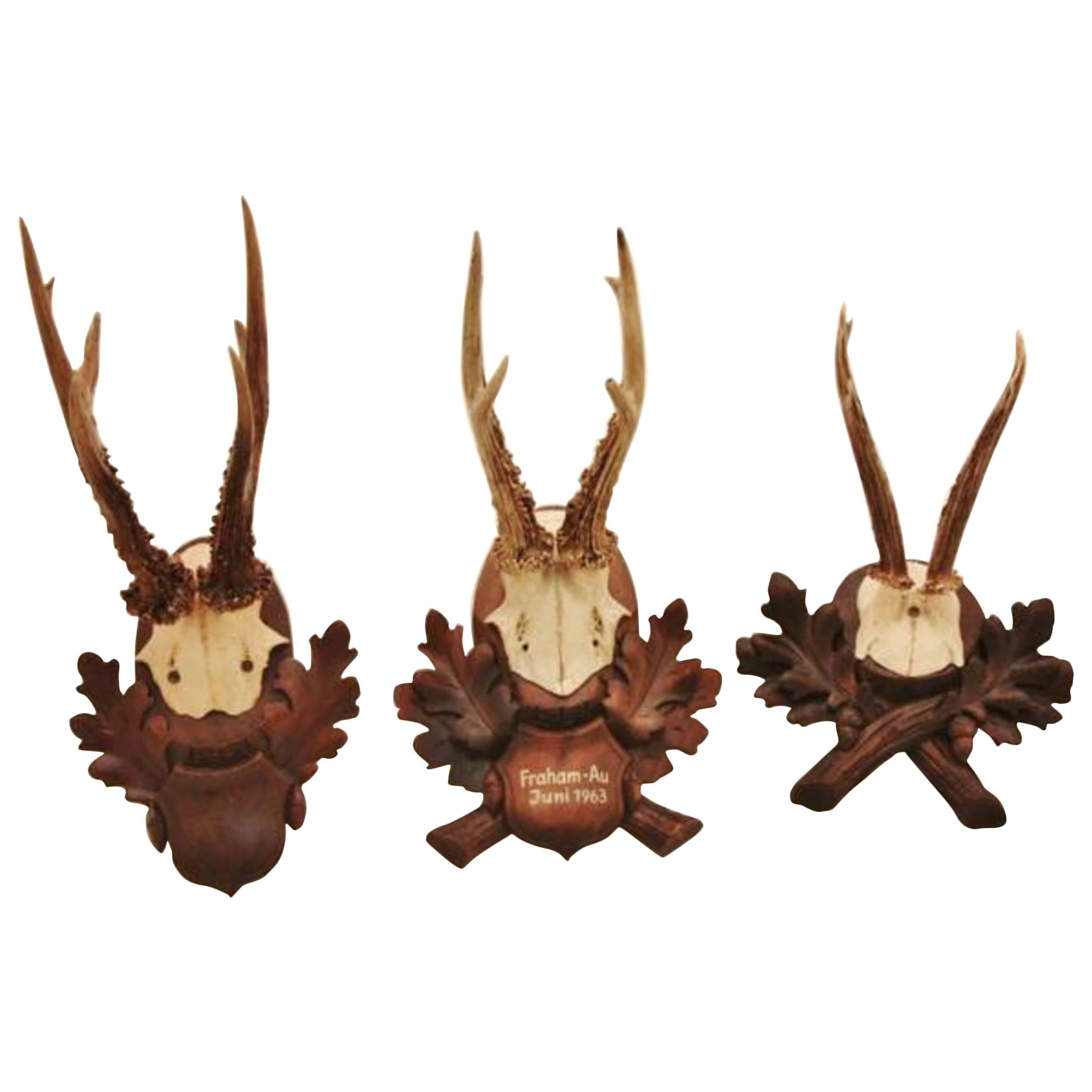Collection of Nine Black Forest Antler Mounts on Hand-Carved Wood PlaquesPriced 