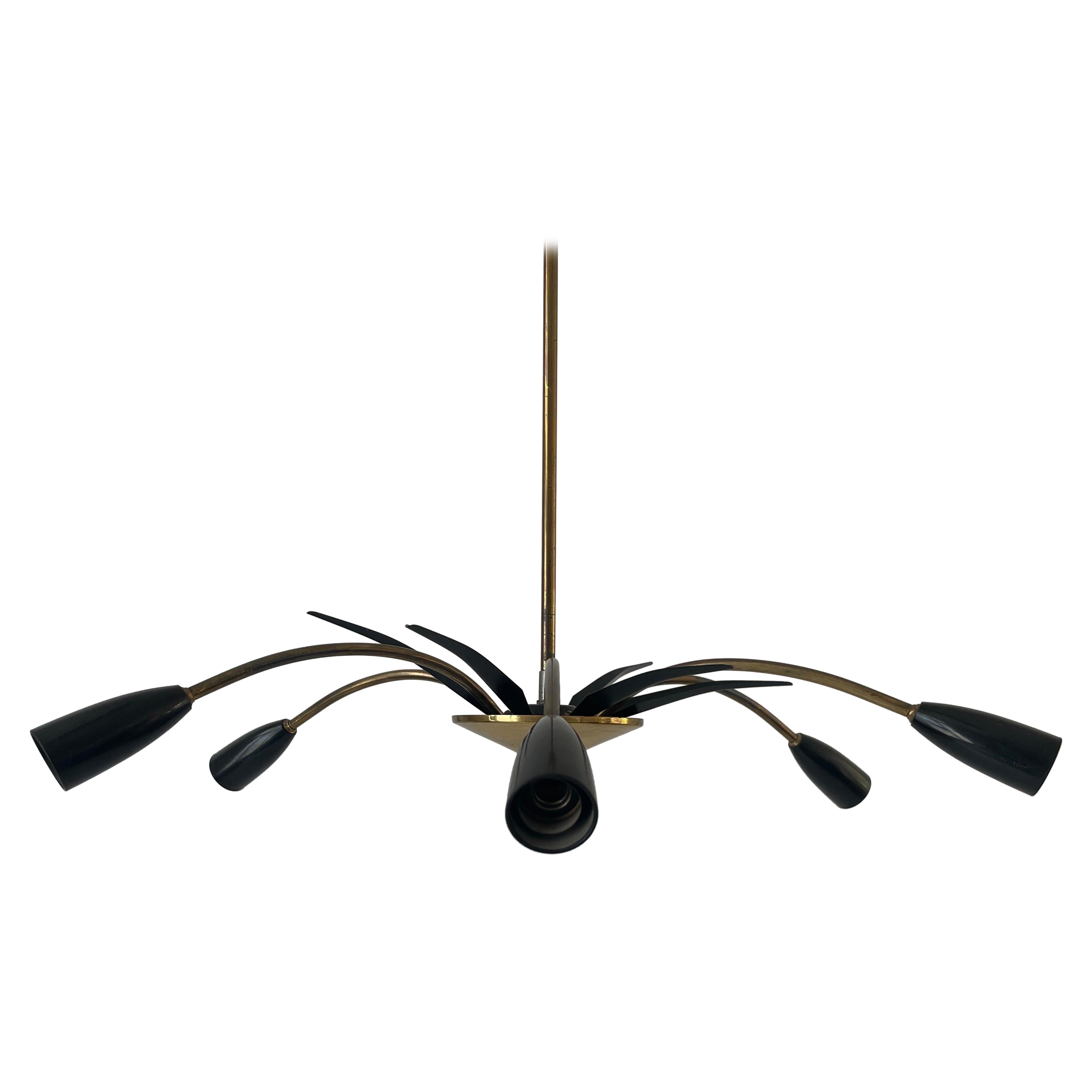 Black Metal & 6-armed Brass Body Ceiling Lamp, 1950s, Germany For Sale