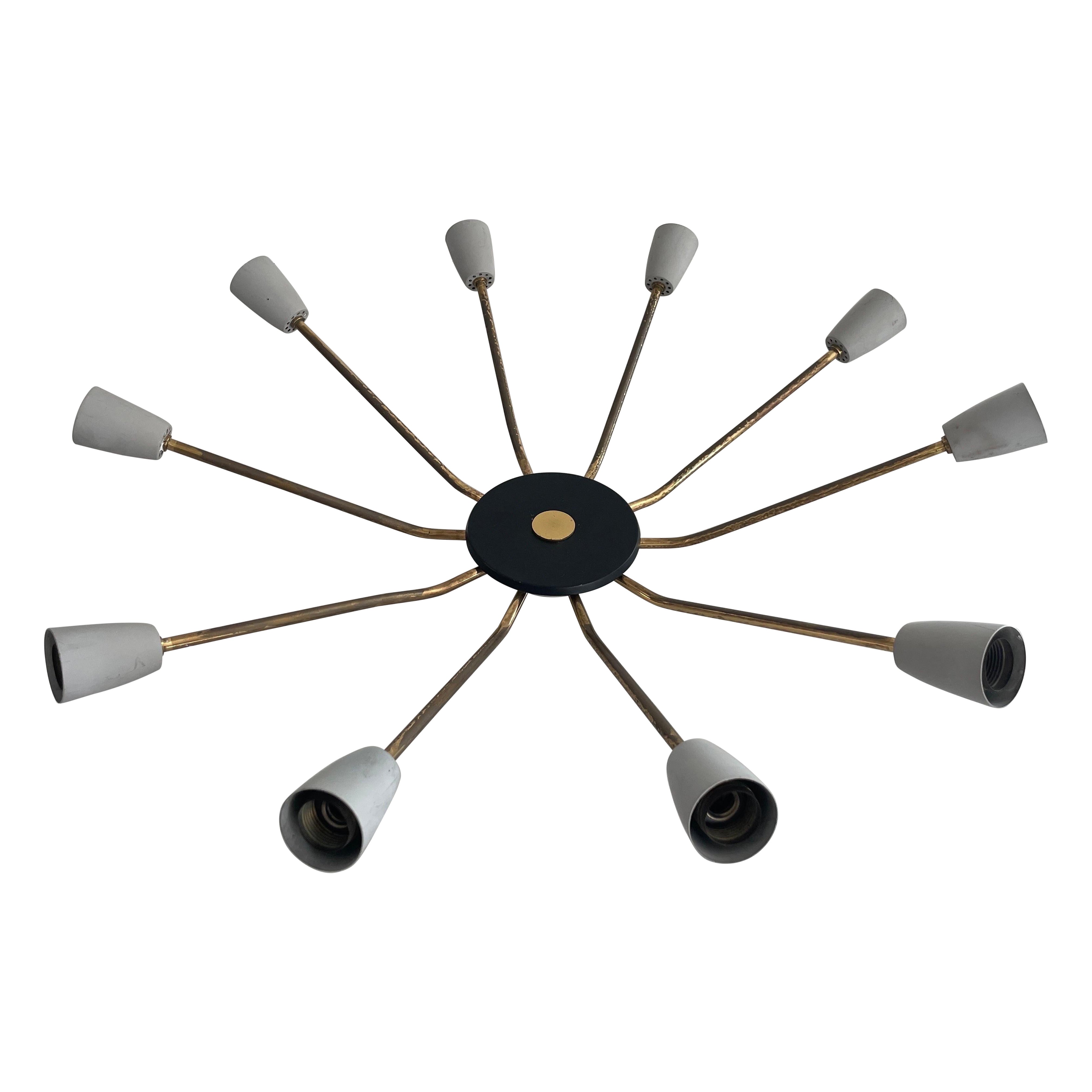 Mid-century Gray Metal and Brass Body 10-armed Ceiling Lamp, 1950s, Germany