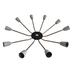 Mid-century Gray Metal and Brass Body 10-armed Ceiling Lamp, 1950s, Germany