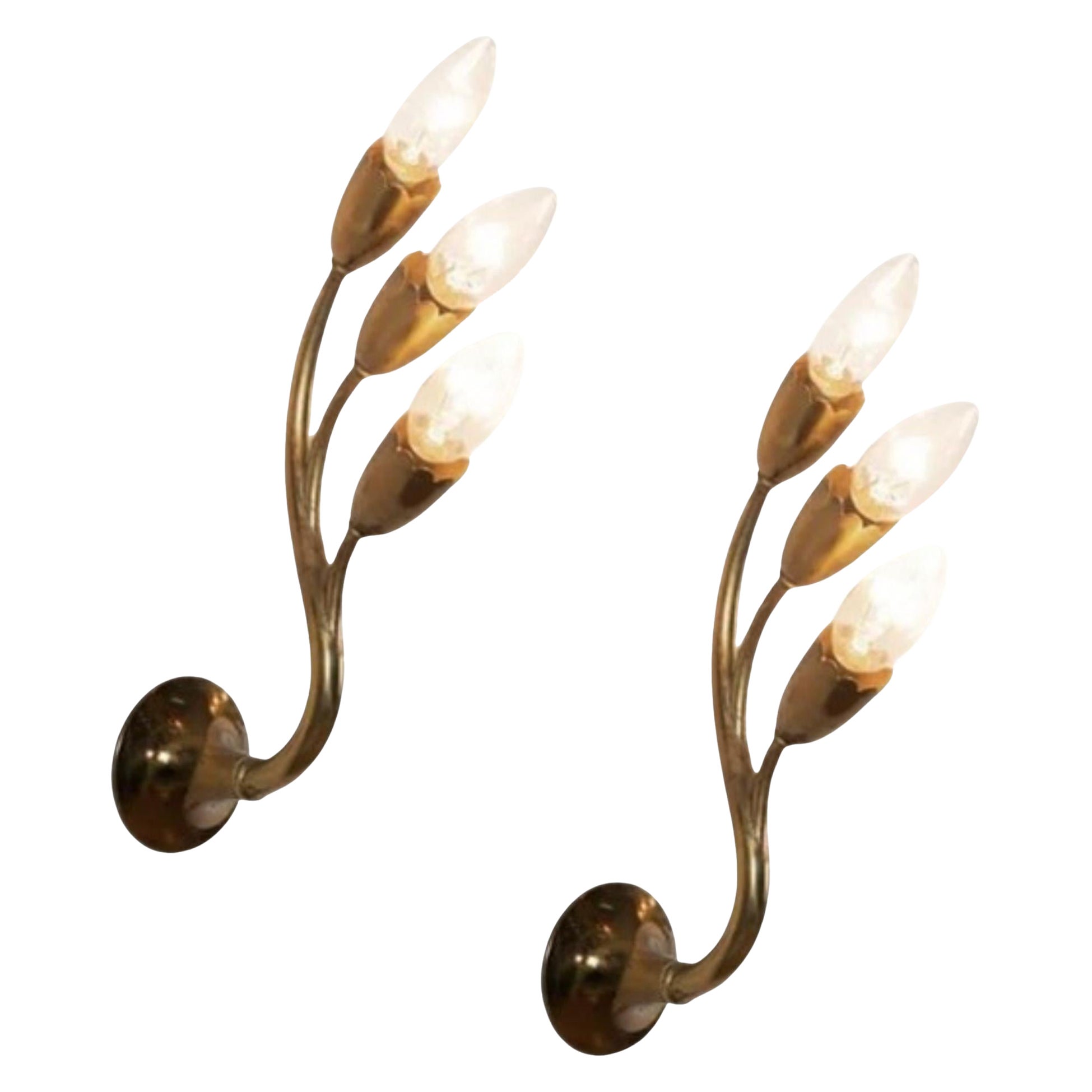 Gio Ponti Attr., Italienische Mid-Century-Modern-Wandleuchter, Messing, Blumenform