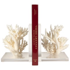 Coral Specimen Bookends
