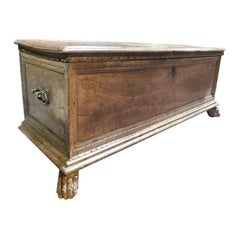 Antique Walnut wood container chest, carved with lion paws, Italy