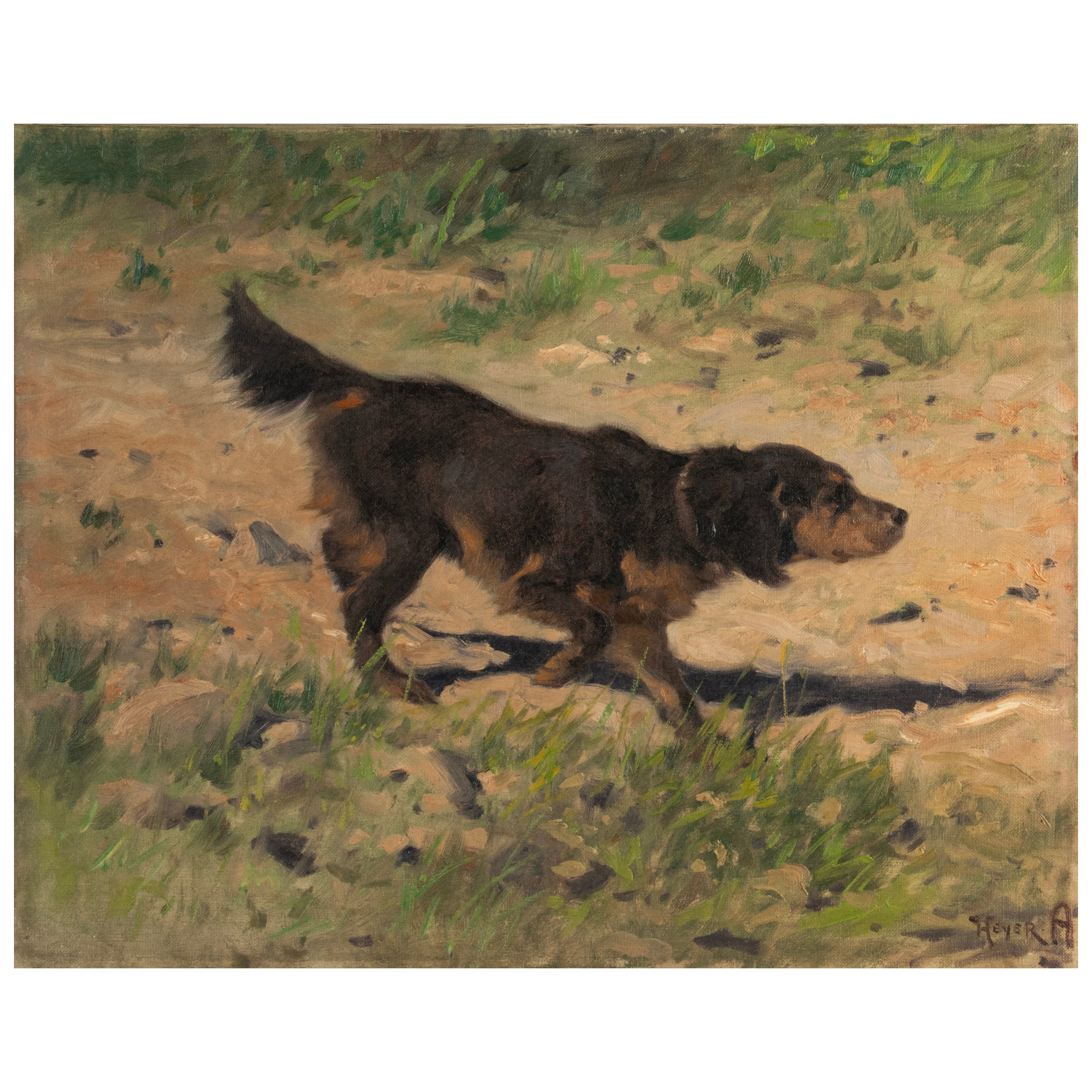 Early 20th Century Oil Painting - Gordon Setter Dog - by Arthur Heyer