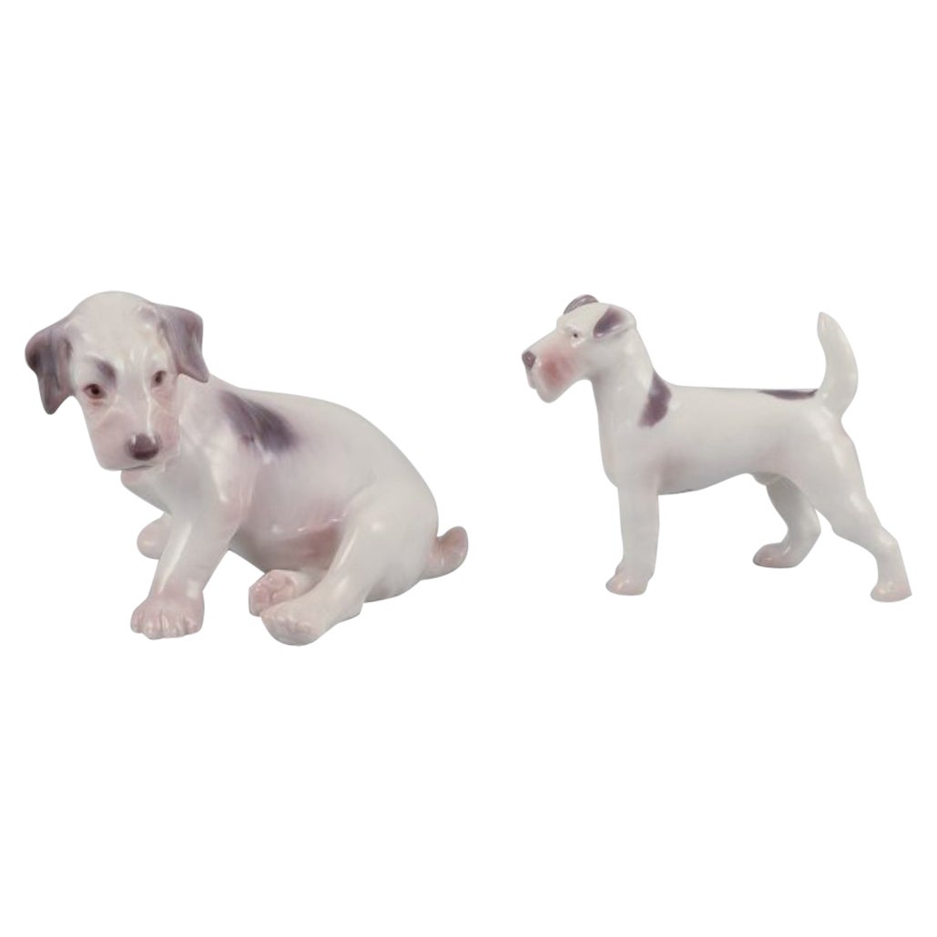 Bing & Grondahl, two porcelain figurines of two terriers.