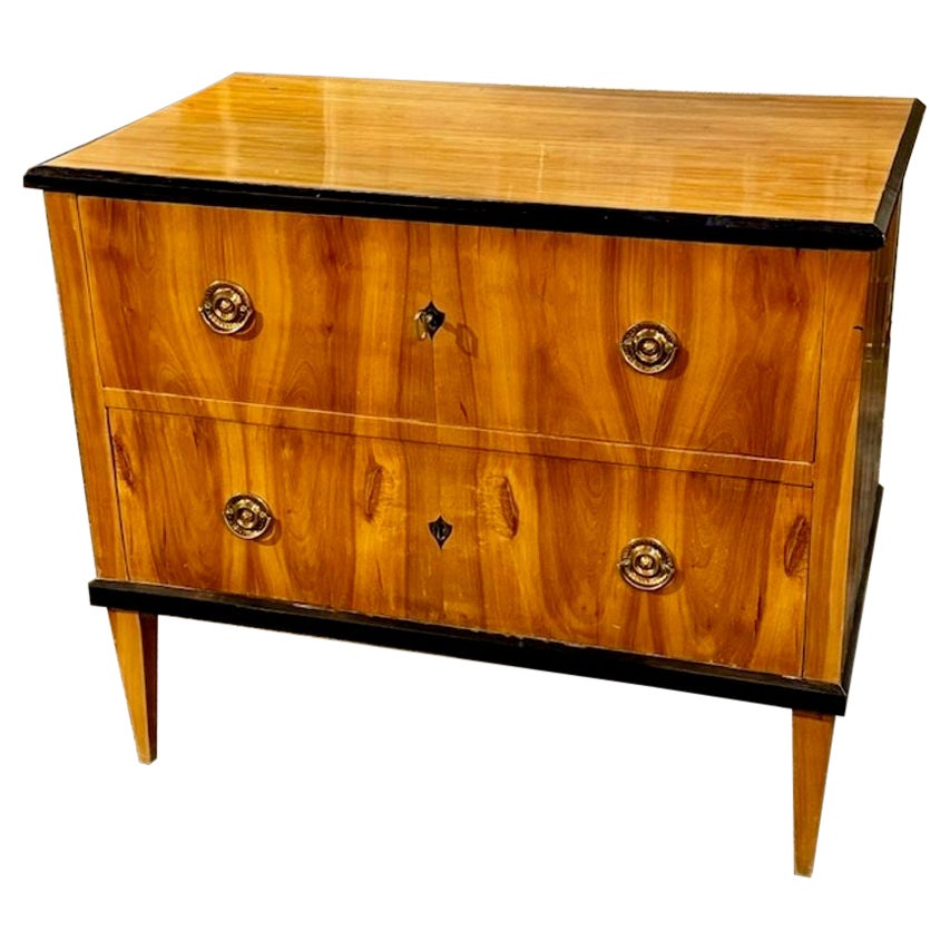 19th Century German Biedermeier Chest with Ebonized Details