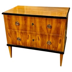 Antique 19th Century German Biedermeier Chest with Ebonized Details