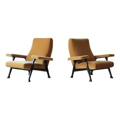 Rara coppia di autentiche sedie da sala Roberto Menghi degli anni '50, Italia, New Mohair puro
