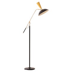 Mid-century Modern Design, Floor Lamp by Unknown Artist, circa 1950s