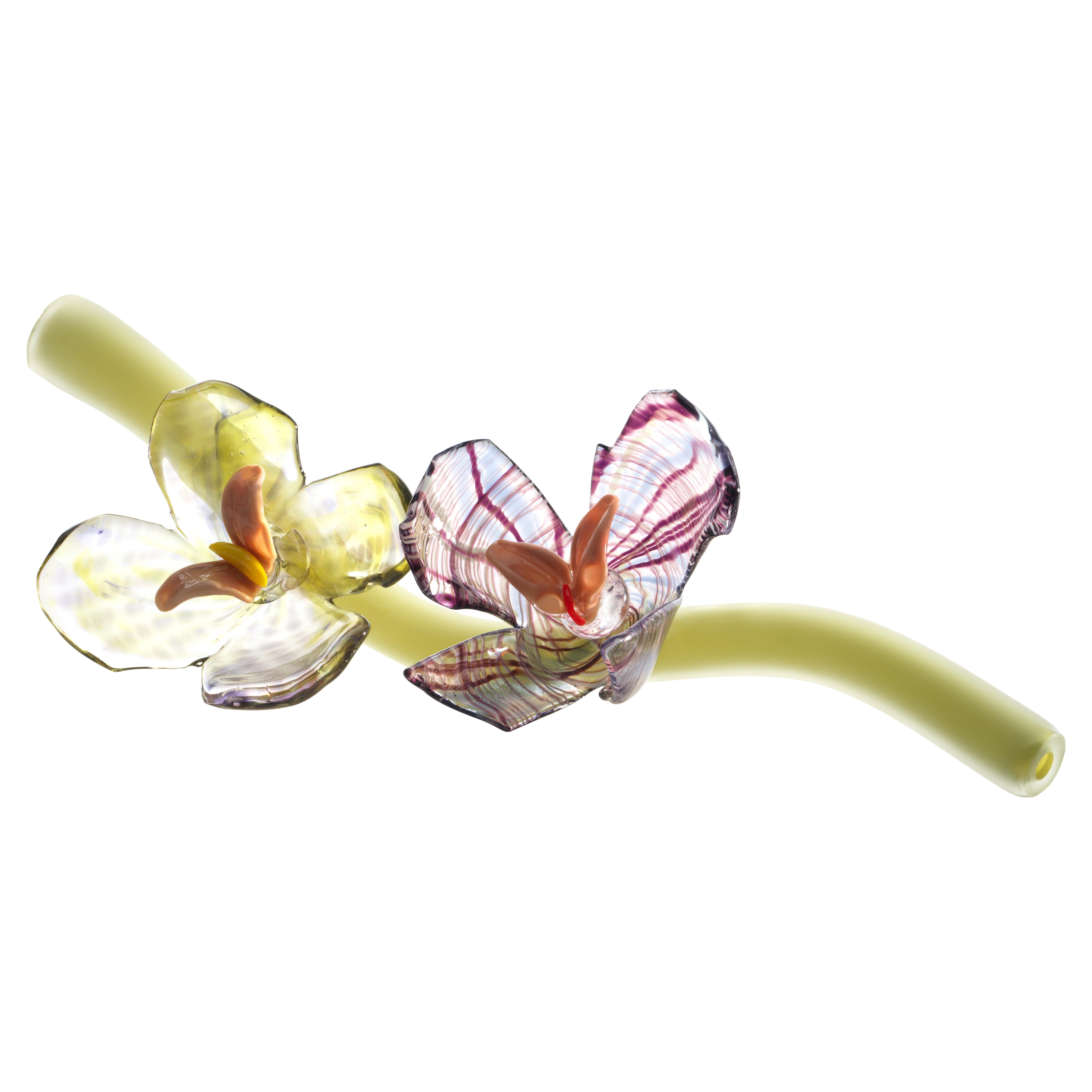 Contemporary Glass Flowers Sculpture, Michèle Oberdieck
