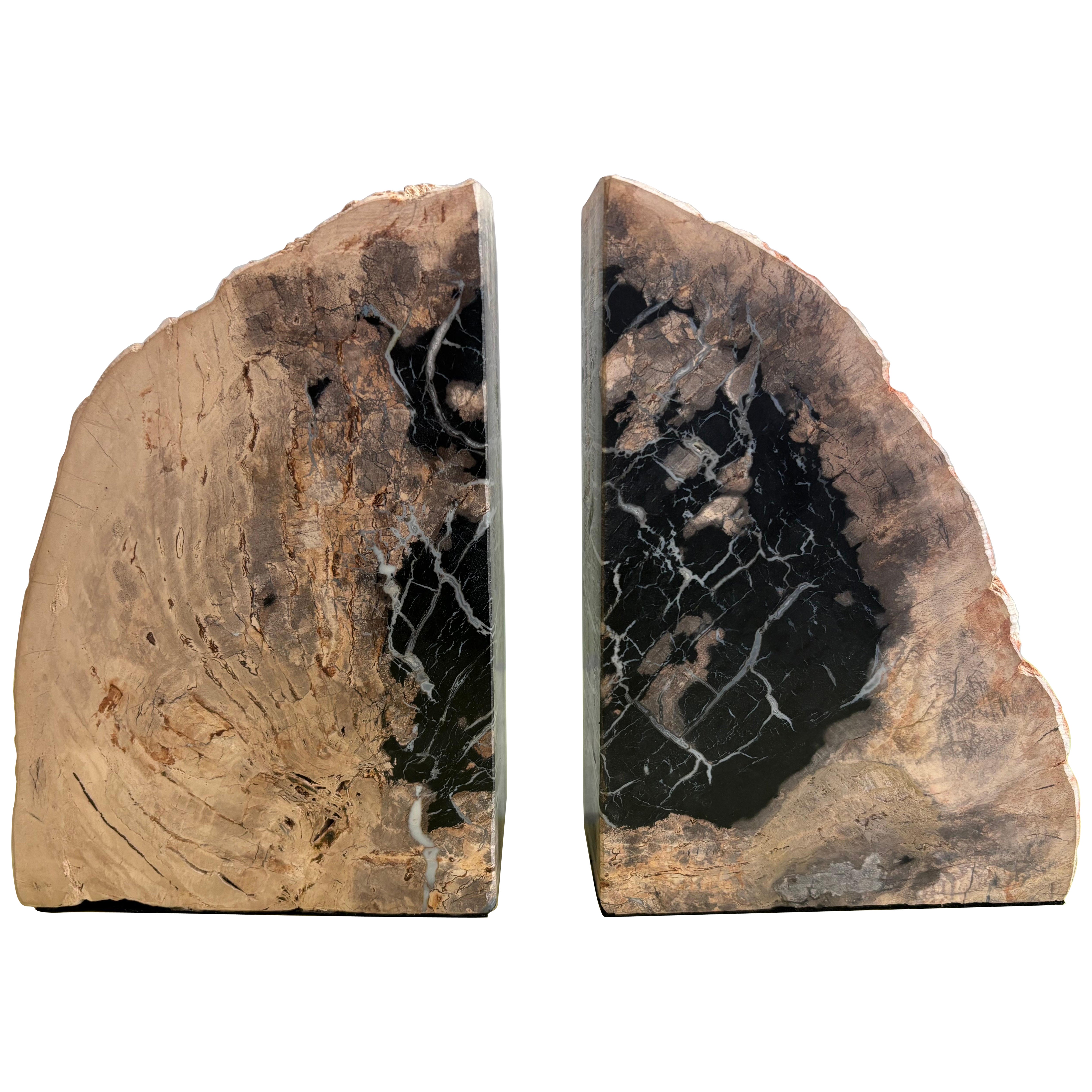 Large Polished Petrified Wood Bookends