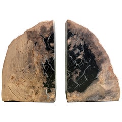 Large Polished Petrified Wood Bookends
