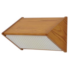 Ate van Apeldoorn Inspired Triangular Pine Wall Sconce with Grid Diffuser