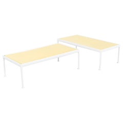 Años 70 Richard Schultz para Knoll Colección 1966 Mesa baja 24 x 48