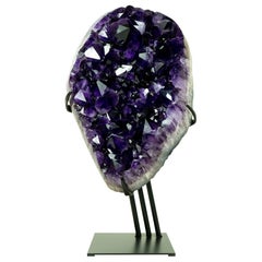 Rare AAA Amethyst Cluster with Large, Luxurious Grape Jelly Purple Druzy Points