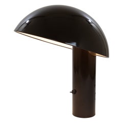 Brown Vaga Table Lamp by Franco Mirenzi for Valenti, 1970s