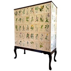 Swedish 1930s Botanical Cabinet in Josef Frank's Style with Nordens Flora Decor